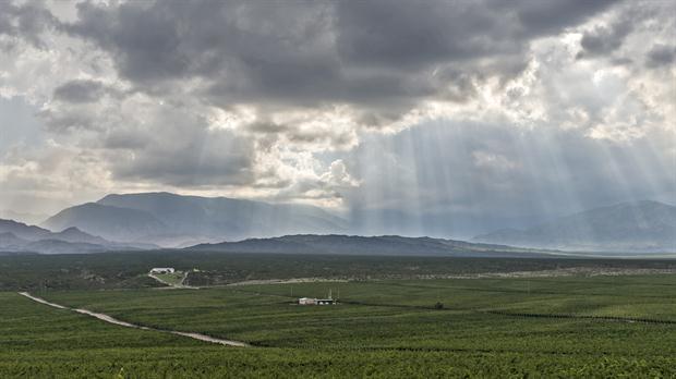 private-food-tours-in-Buenos-Aires-Pedernal-valley-where-is-the-best-Malbec-of-the-Japan-challenge