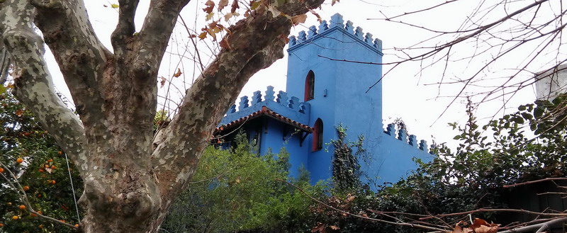 Private out of the beaten path walking tour Buenos Aires blue castle