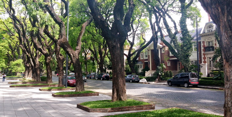 Private out of the beaten path walking tour Buenos Aires tree lined street 