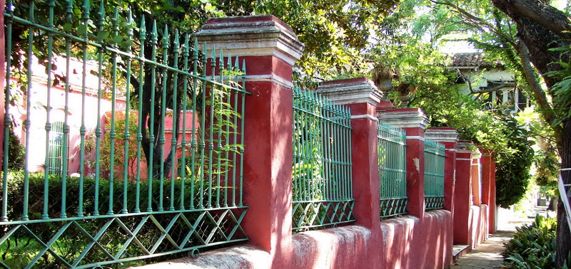 Tree lined street in a private tour To San Isidro and Tigre in Buenos Aires