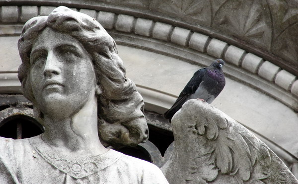 private Recoleta cemetery tour angel with pigeon 